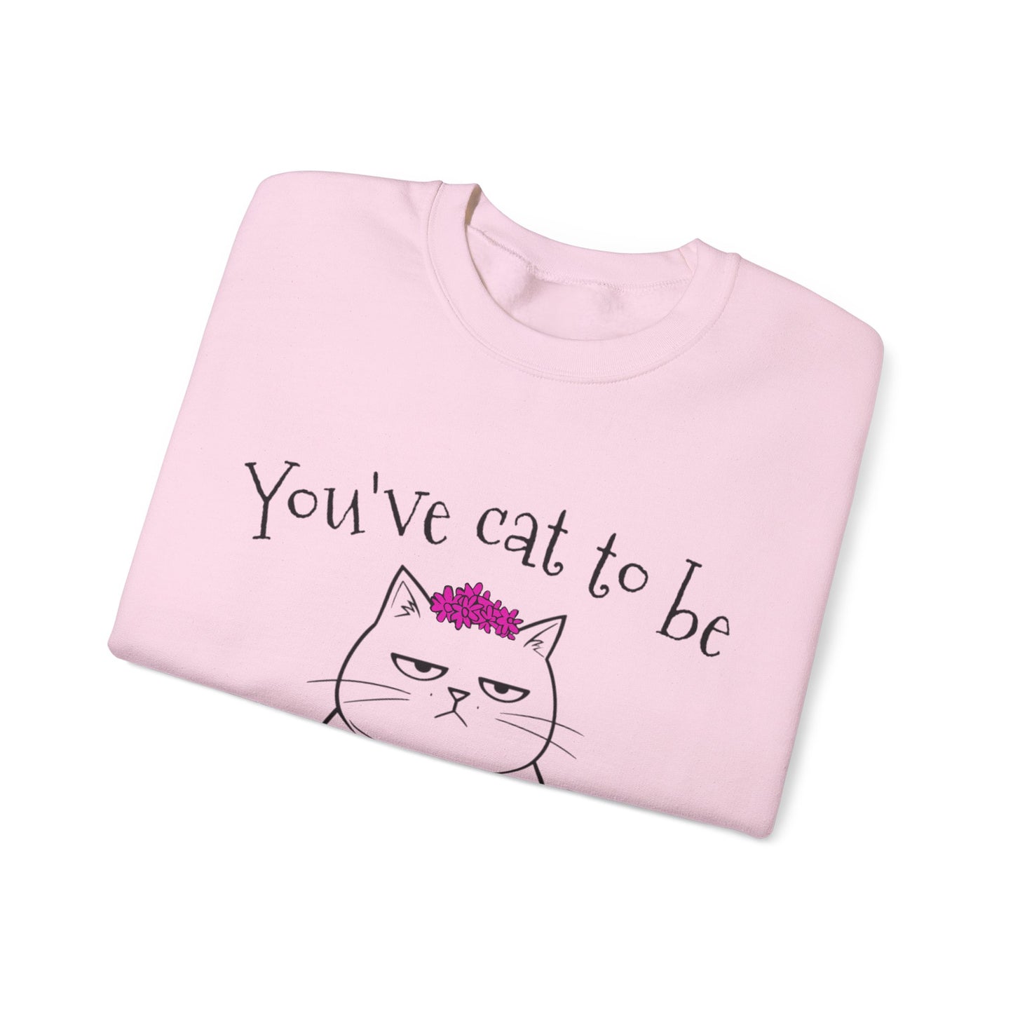 You've got to be kidding me - Annoyed Cartoon Cat Boy in a Tutu Sweatshirt