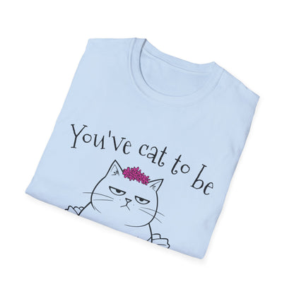 You've got to be kidding me T-Shirt -  Annoyed Cartoon Cat Boy in a Tutu Design