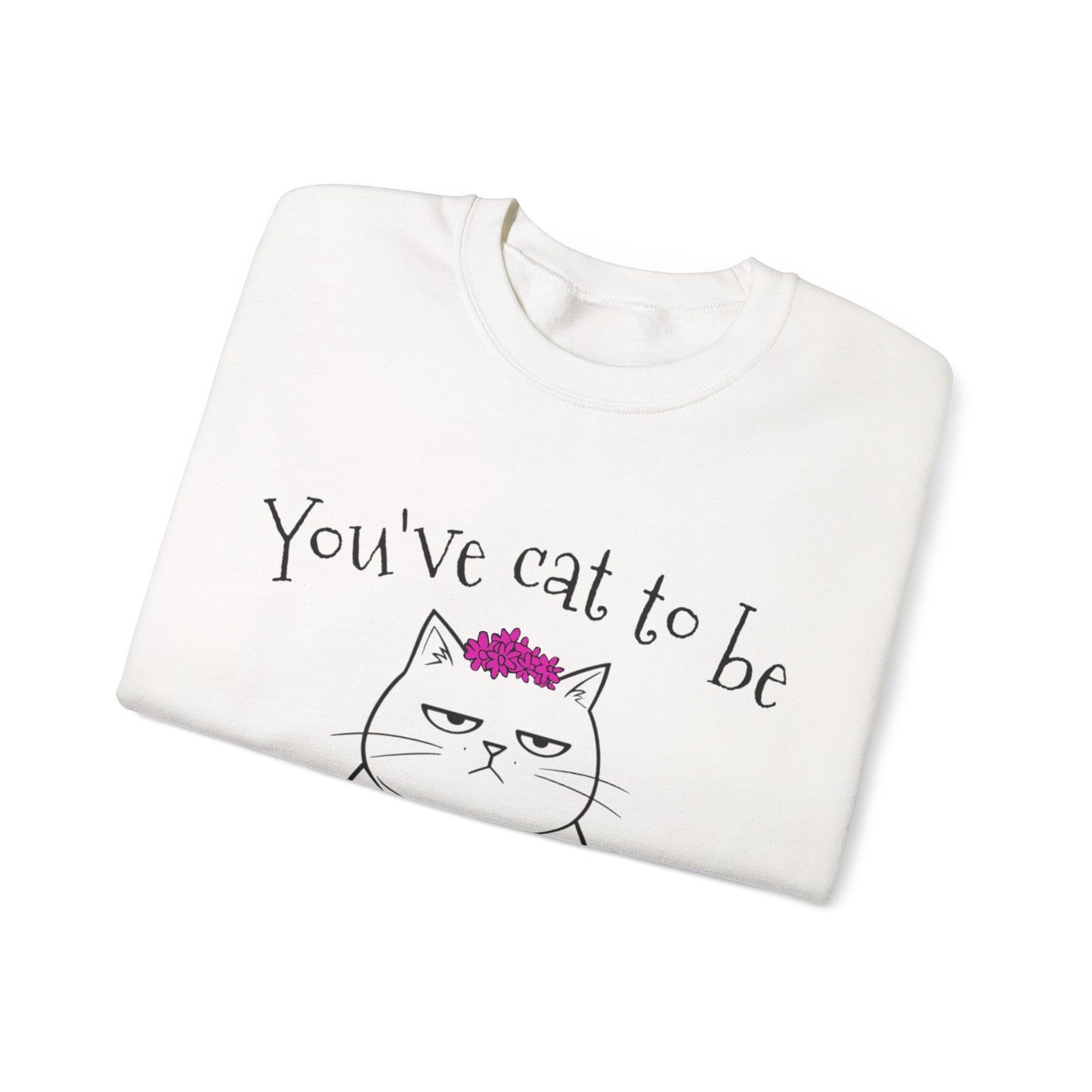 You've got to be kidding me -  Annoyed Cartoon Cat Boy in a Tutu Sweatshirt